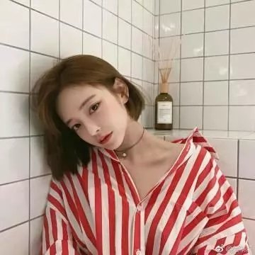 海龟们