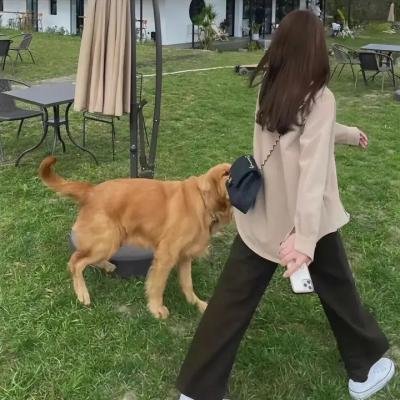 安妮·霍尔
